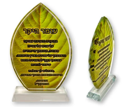 מגן קריסטל בצורת טיפה גודל 13*19 ס״מ